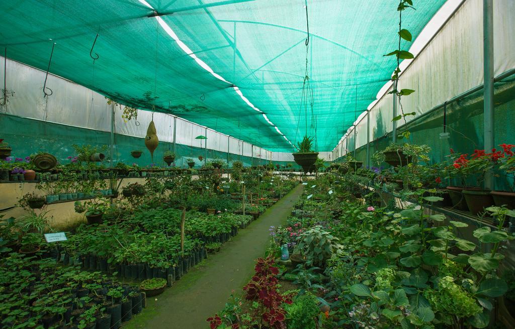 Pine Borough Inn Kodaikanal Exterior foto